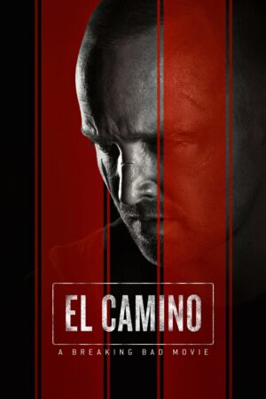 El Camino: Bir Breaking Bad Filmi