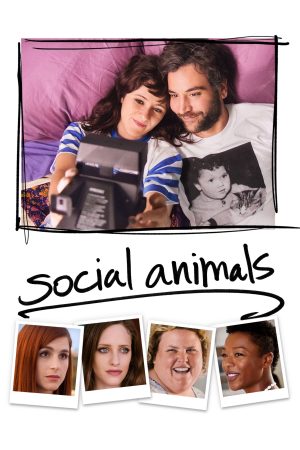 Sosyal Hayvanlar