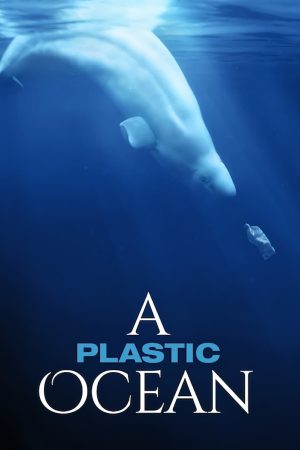 Plastik Okyanus